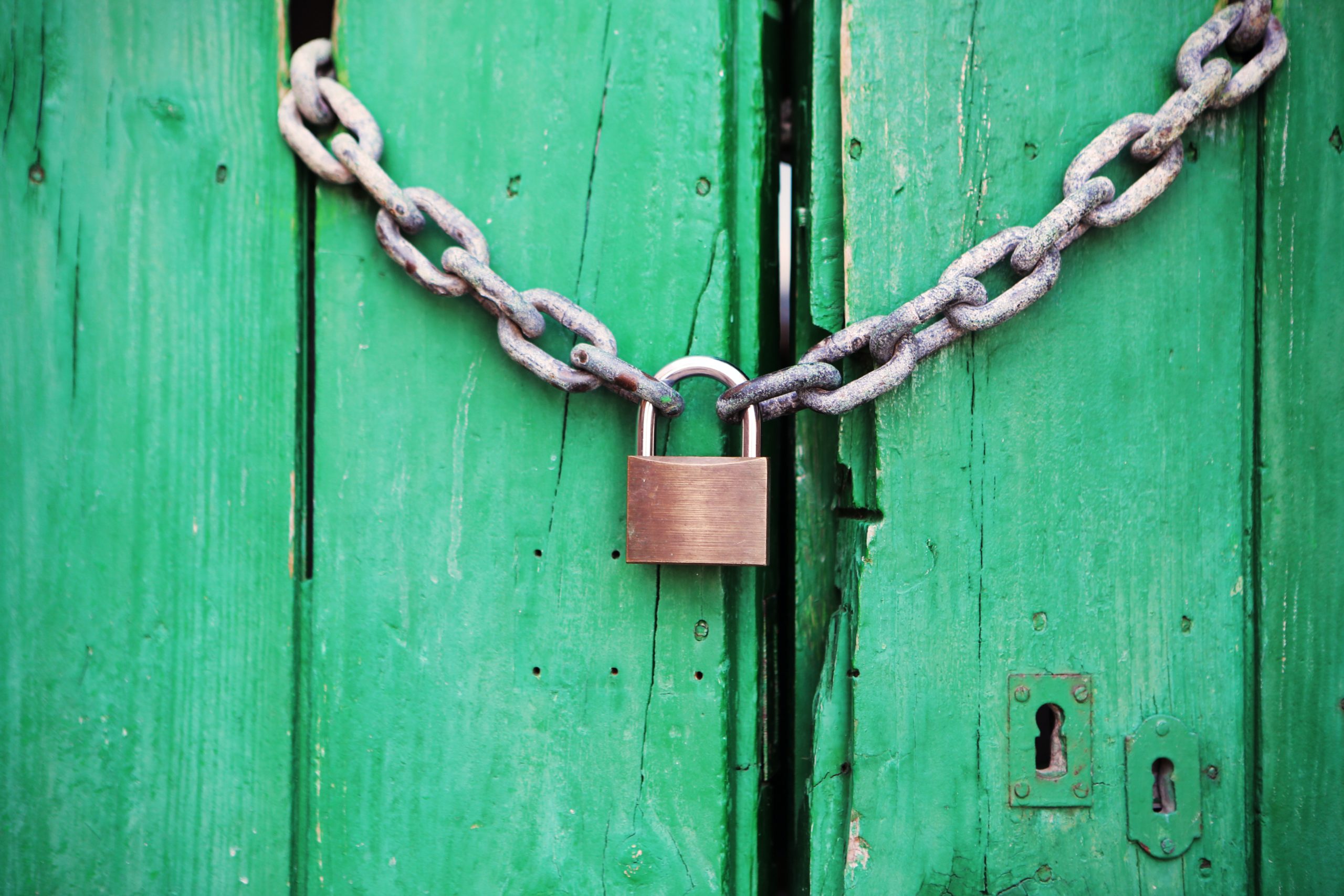 Privacy & Security 1 pexels life of pix 4291 scaled