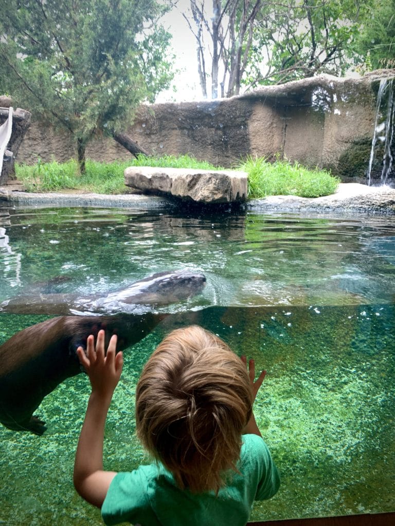 Sedgwick County Zoo - Wichita 24 IMG 0440